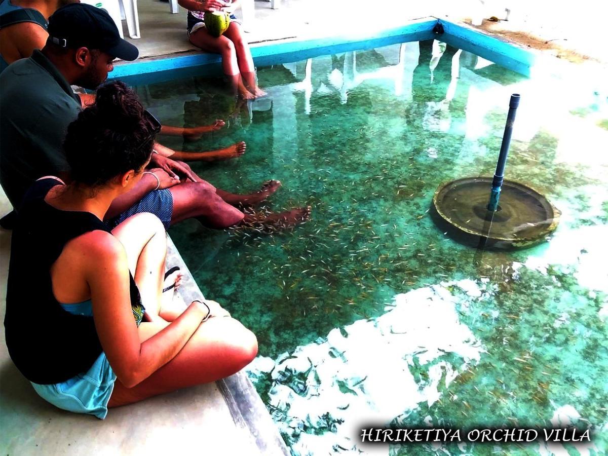Hiriketiya Orchid Villa 迪克韦勒 外观 照片